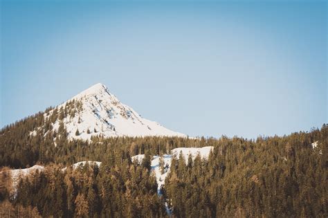 Lanskap Pohon Gunung Puncak Foto Gratis Di Pixabay Pixabay