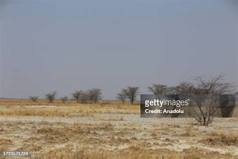 85 Lake Makgadikgadi Stock Photos, High-Res Pictures, and Images ...