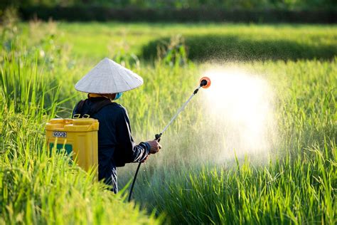 Pentingnya Uji Efikasi Pestisida Dalam Pertanian Modern IML Testing