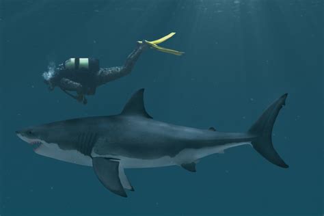 Whale Shark vs Great White: Titans Of The Deep Unveiled – Ocean Action Hub