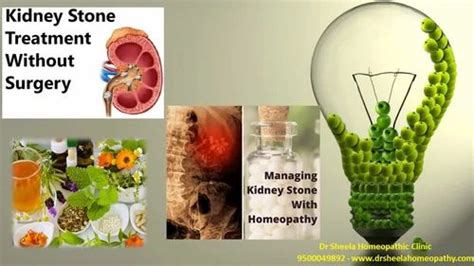 Kidney Stones Treatment Chennai Dr Sheela Homeopathy At Best Price In