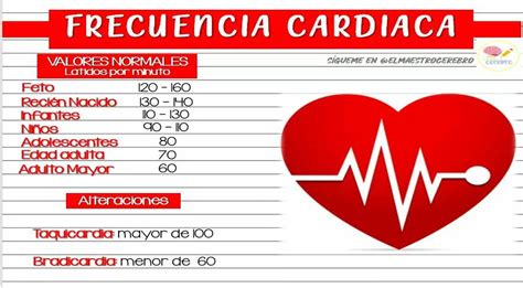 Función Cardiaca En El Ejercicio