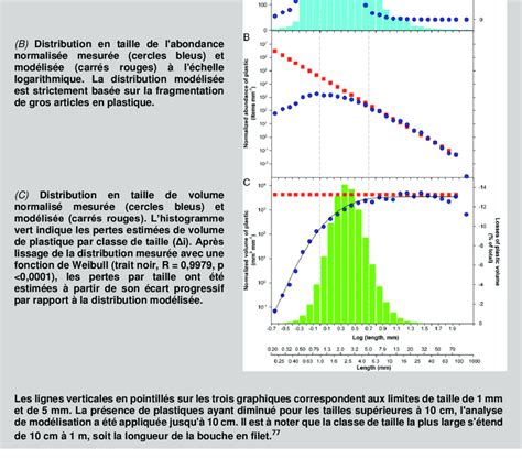 Répartition granulométrique des débris plastique flottants collectés