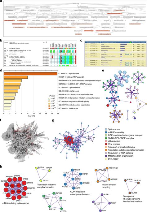 Visualizations Of Functional Enrichment And Interactome Analysis