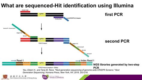 High Throughput Single Cell Crispr Cas9 Gene Editing Ppt