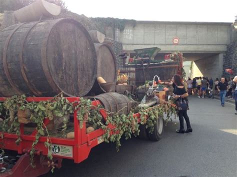 Grape And Recioto Wine Festival In Gambellara