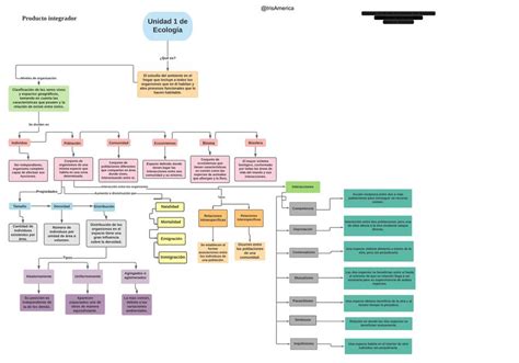 Arriba Imagen Niveles De Organizacion De La Materia Mapa Mental