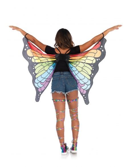 Pair of Rainbow Butterfly Wings