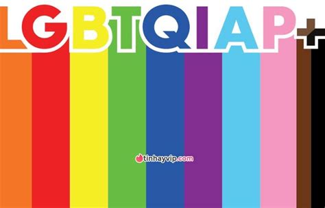 Pansexual Là Gì Phân Biệt Pansexual Với Asexual Bisexual Đại Việt