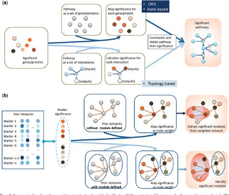 Pdf Network Approaches To Systems Biology Analysis Of Complex Disease