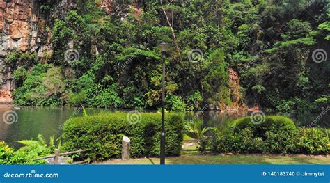 Bukit Batok nature park stock photo. Image of quarry - 140183740