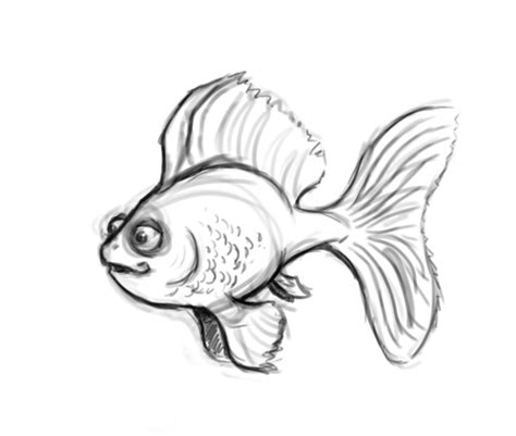 Fish sketch