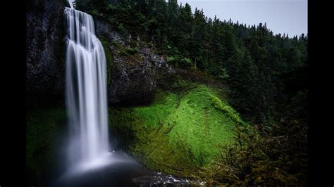 Waterfall Sounds The Forest Waterfall The Calming Sound Of Water