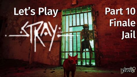 Stray Let S Play Part Jailbreak And City Unveiled Unforgettable