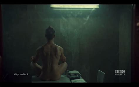 Loving Naked Men Ari Millen Naked Orphan Black X