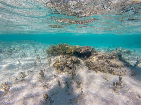 New Caledonia 2015 Trip | Dekarski Net