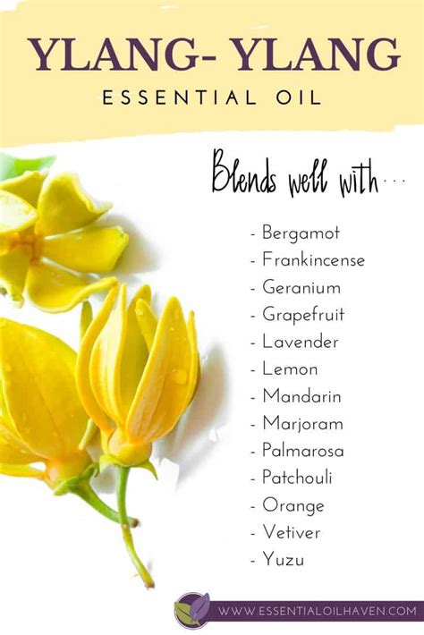 10 Diffuser Blends With Ylang Ylang Essential Oil Free Recipes