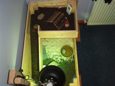 My New And Finished 2 Level Tortoise Table Reptile Forums Tortoise House Tortoise Habitat