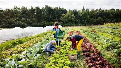 La Donation Transg N Rationnelle Ou Comment Favoriser Ses Petits Enfants