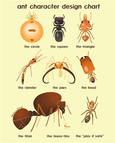 Ant Character Design Chart Art Print - Etsy