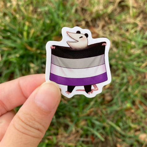 Asexual Pride Stickers Opossum And Capybara Waterproof Vinyl Etsy