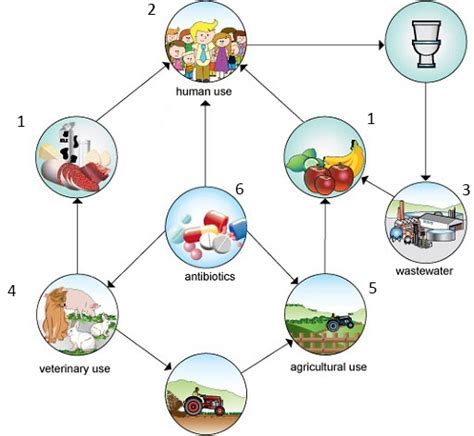 Understanding Antibiotic Resistance Openlearn Open University