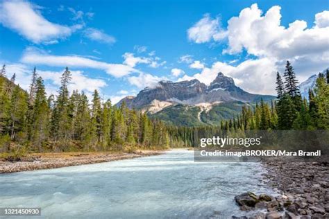 46 Cathedral Mountain Canada Stock Photos High Res Pictures And