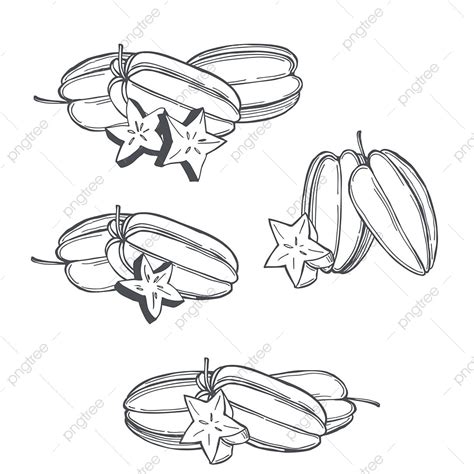 Carambola Desenhada à Mão Ou Fruta De Maçã Estrela No Fundo Branco PNG