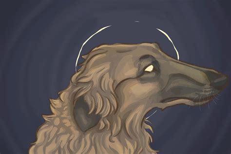 Borzoi By Shipposketches On Deviantart