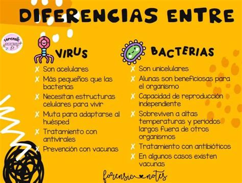 Diferencias Entre Virus Y Bacterias Forensicnotes Udocz