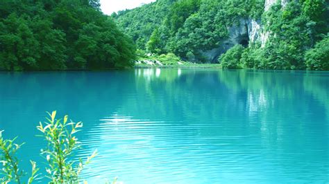 Turquoise Water Greenery Nature Hd Turquoise Wallpapers Hd Wallpapers Id 55211