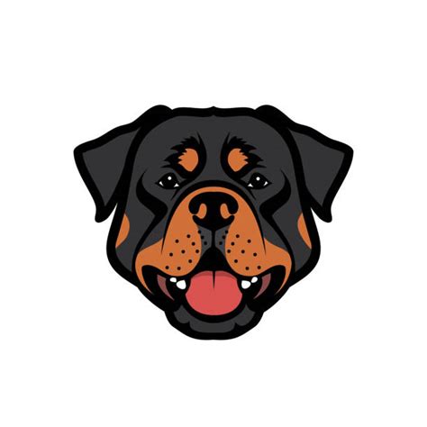 Rottweiler Illustrations Royalty Free Vector Graphics And Clip Art Istock