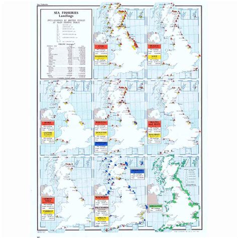 BRITISH ISLES Sea Fisheries Landings by Main Fishing Ports - Vintage Map 1963 | eBay