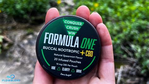 Innovative Smokeless Tobacco Alternatives: An In-Depth Look At Buccal Nootropic Products - FlowBlend