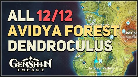 All Avidya Forest Dendroculus Locations Genshin Impact Youtube