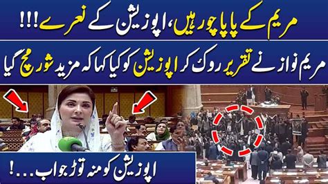 Maryam Kay Papa Chor Hain Maryam Nawaz Gets Angry On Opposition