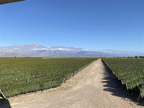 Día Del Padre 20 Vinos Especiales Para Agasajarlos En Su Día Infobae