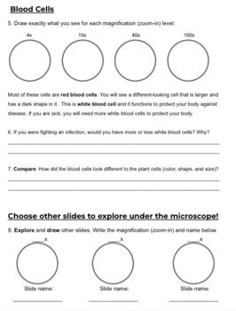 Virtual Microscope Lab Nc Bionetwork Online Interactive Sheet Tpt