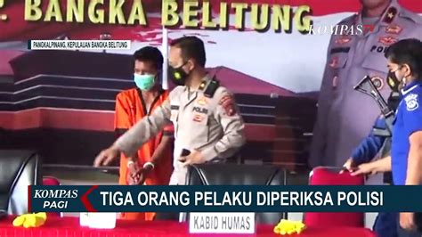 Polisi Gagalkan Penyelundupan 67 Ribu Benih Lobster Yang Diduga Akan