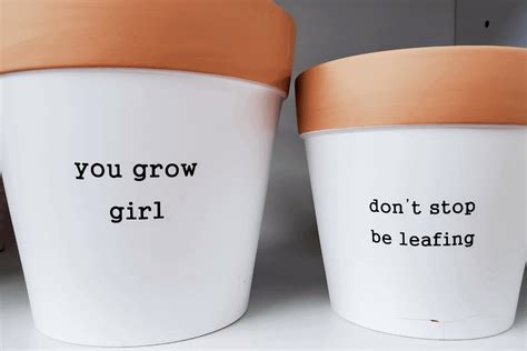 50 Cute And Funny Plant Sayings For Every Occasion Plantiful Interiors