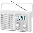 Amazon DreamSky AM FM Radio Portable Shortwave Radio Battery