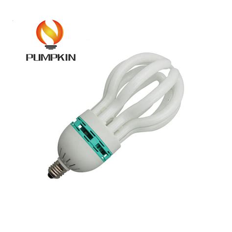 W W W Lotus Energy Saving Light Lotus Fluorescent Lamp