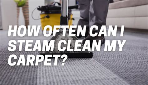 How Many Times Can You Steam Clean Your Carpet Carpetsmatter