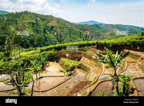 Waterfall Countryside Landscape In A Village In Cianjur Java