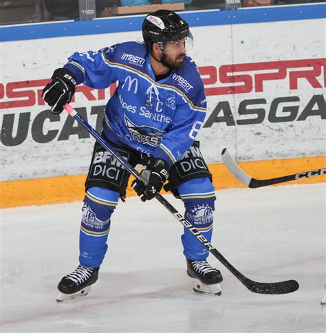 Hockey Sur Glace Ligue Magnus Cest Une Faute Professionnelle De