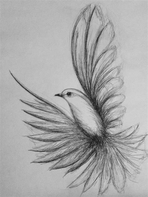 flying bird drawing : r/drawing