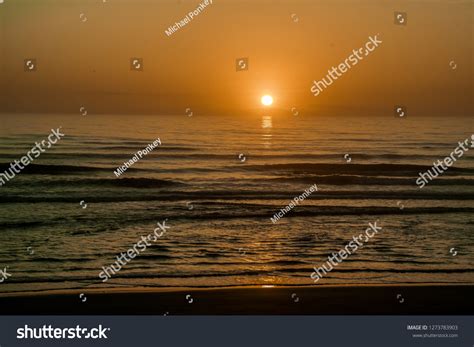 Florida Beach Sunrise Stock Photo 1273783903 | Shutterstock