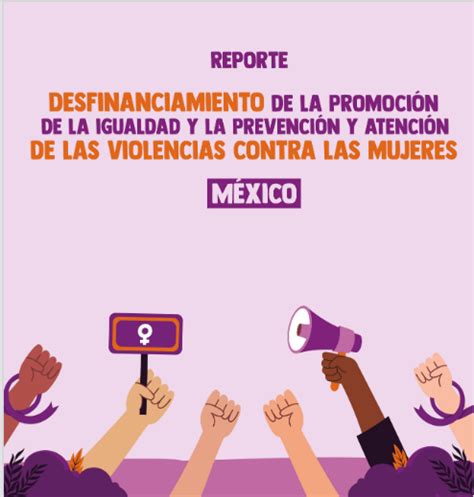 Reporte Desfinanciamiento de la atención de las violencias contra las