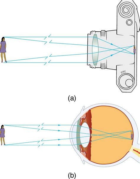 256 Image Formation By Lenses College Physics