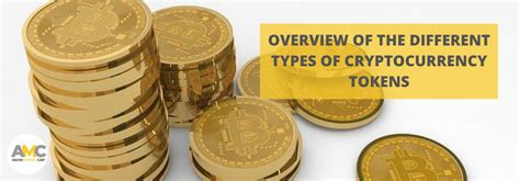 Overview Of The Different Types Of Cryptocurrency Tokens By